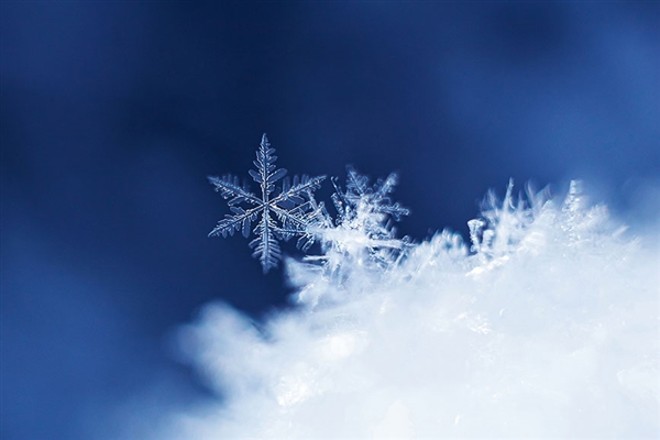 济南大暴雪下了387个大明湖:历史罕见