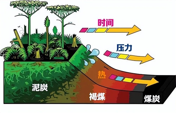 亚洲最大露天煤矿 百米厚煤层足足开采了118年!古代植物咋都埋那了
