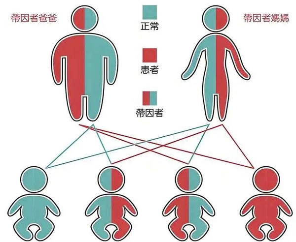 为啥动物那么多乱伦:近亲繁殖没影响吗