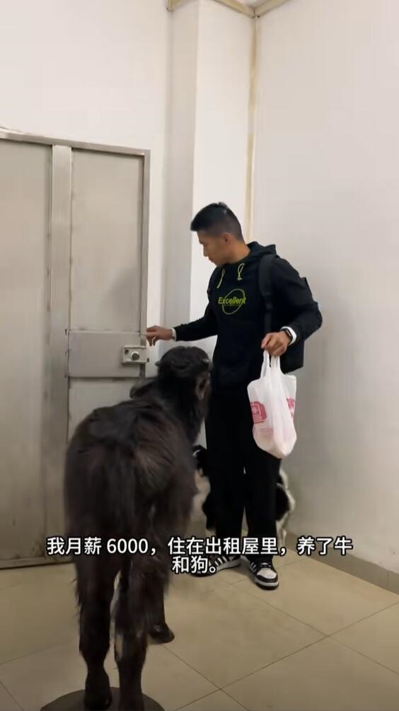 男子在出租屋养牛:提醒自己不当牛马
