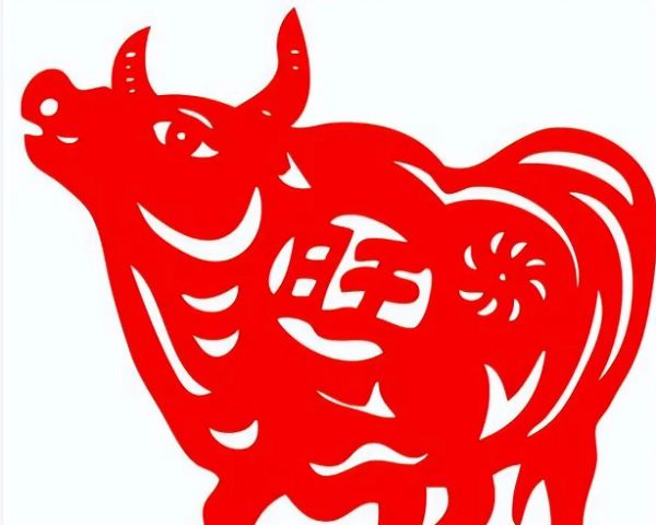 两鬓斑白是什么生肖，释义解释词语落实