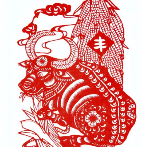 憨态可掬指什么生肖，成语落实解答分析