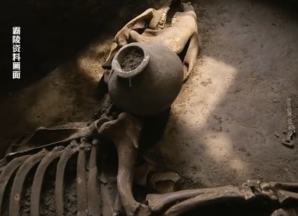 汉文帝霸陵发现进口宝马:系“西域天马”后代