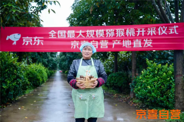 京东京喜自营:一年新增1.5亿用户 交易额暴涨10倍