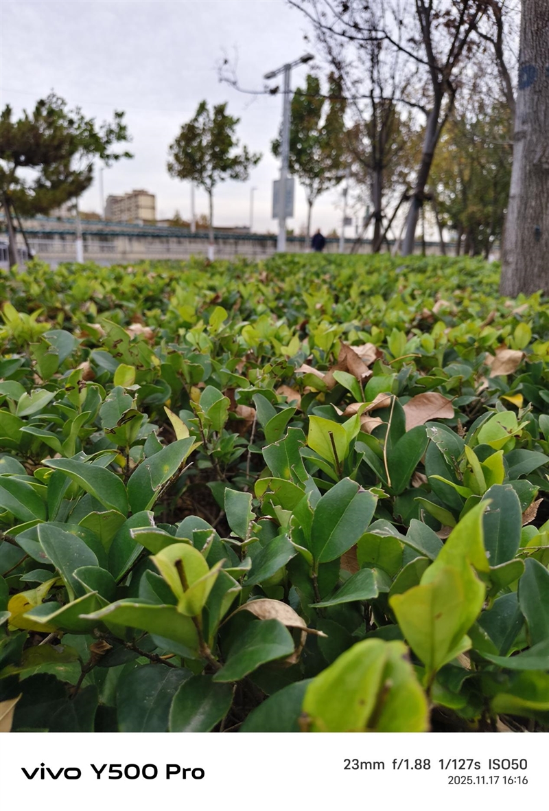 2亿像素的国民小旗舰!vivo Y500 Pro评测:超耐用超给力