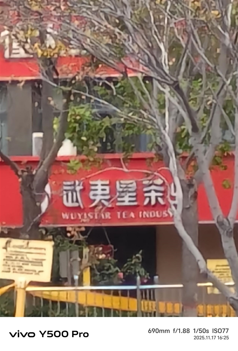 2亿像素的国民小旗舰!vivo Y500 Pro评测:超耐用超给力