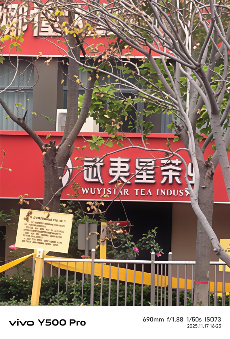 2亿像素的国民小旗舰!vivo Y500 Pro评测:超耐用超给力