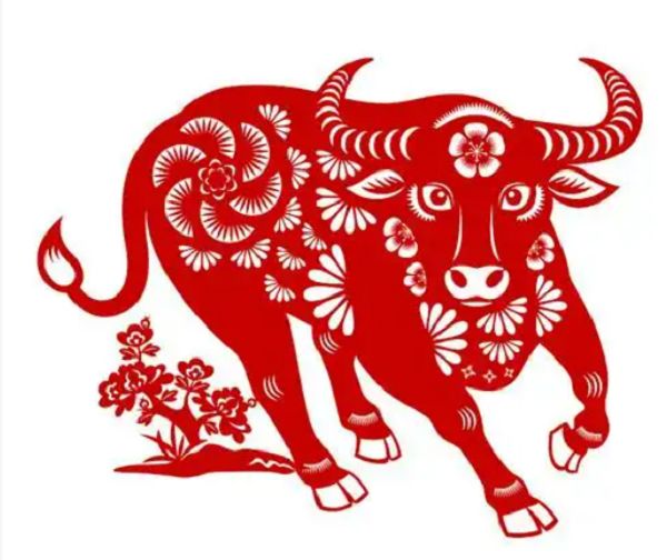 生肖牛