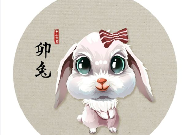 生肖兔