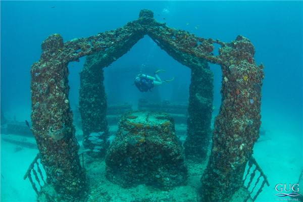 迈阿密将22辆“汽车”推入海底 给珊瑚当家