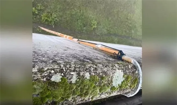 16年成功越狱4次!意大利臭名昭著囚犯再上演“金蝉脱壳”