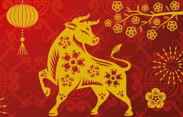 回舟冒雨懒披蓑打一个生肖，词语解释作答落地