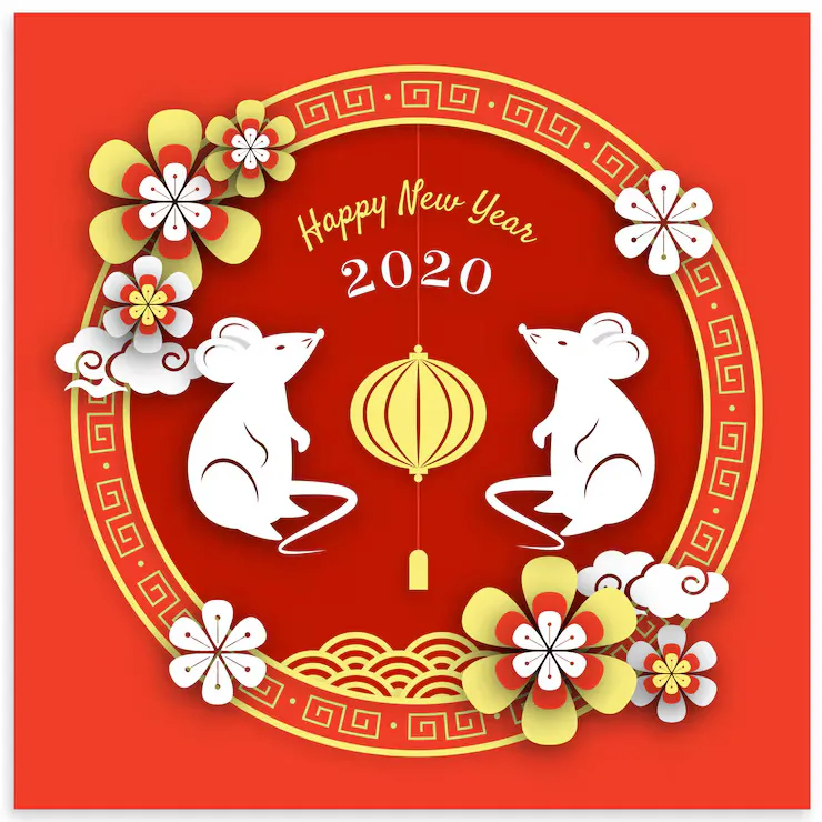 一九日出十光明,呈娇献媚皆动情指什么生肖猜打一正确生肖,精选释义词语解释