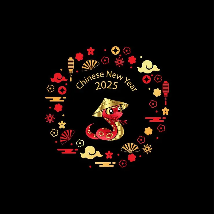 驷不及舌猜生肖，最准确诗句解析