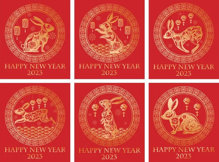 四五二十合二马，东方取肖辰寅卯指代表什么生肖，答案解析落地落实