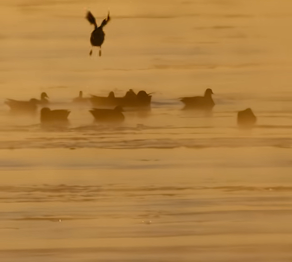 奇观出现！内蒙古上演“水煮黄河”：宛如仙境