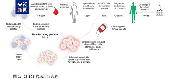 我国研发新型基因编辑技术：有望让重症地贫患者摆脱输血依赖