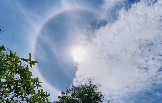 别再盲目晒太阳了！不仅无效还伤皮肤