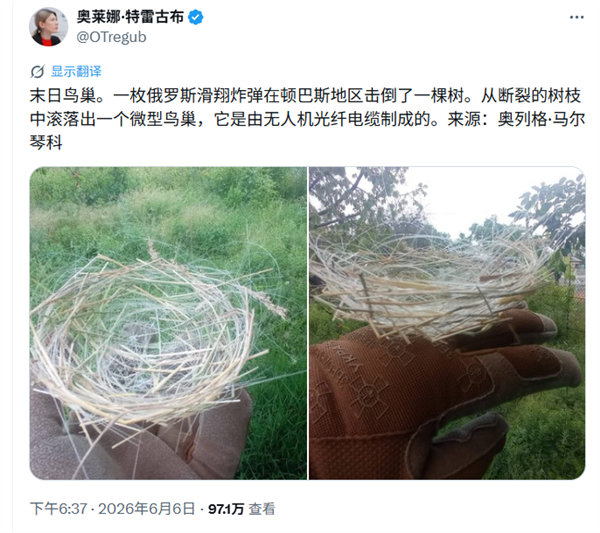 全球首例！乌克兰鸟类已适应战场环境：用无人机光纤电缆编织巢穴