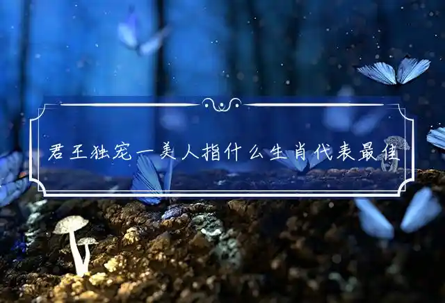 君王独宠一美人